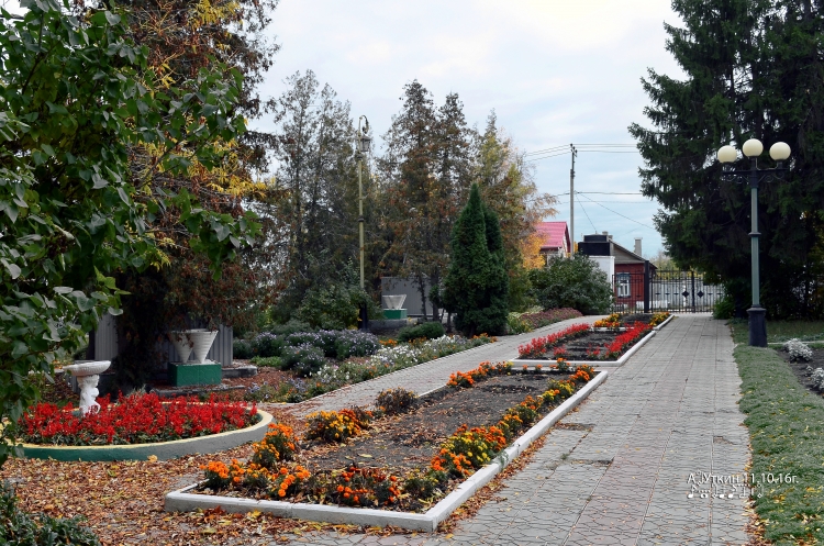 Центральная аллея парка у входа в городской старый парк.